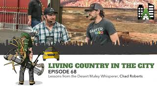 Ep 68  Lessons from the Desert Muley Whisperer Chad Roberts [upl. by Anitirhc]