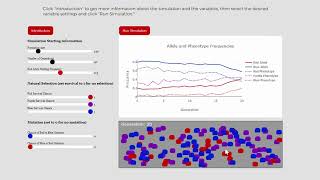 Population Genetics Simulation Genetic Drift [upl. by Embry]