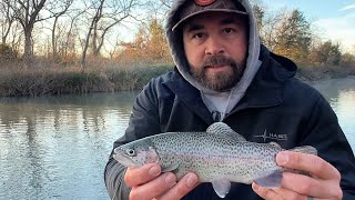 Rainbow Trout Catch Clean and Cook [upl. by Varuag817]