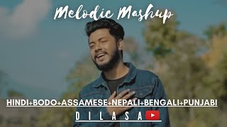 HindiBodoAssameseNepaliBengaliPunjabi ll Dilasa Basumatary ll Melodic Mashup [upl. by Lenette327]