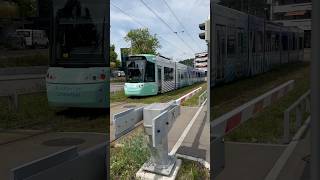 LimmattalTram at Killwangen connecting Aargau and Zürich  Aargau  Zurich Switzerland [upl. by Aekan]