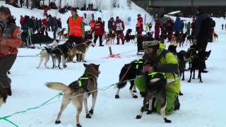 Finnmarksløpet [upl. by Royall]