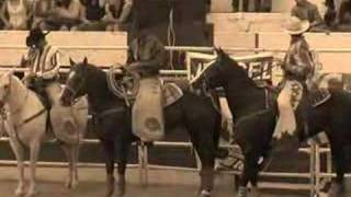 Chris LedouxNot For Heroes [upl. by Gardy]