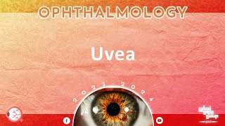 Ch Uveal tract disorders 4 Ophthalmology [upl. by Saenihp]