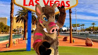 What REALLY Happens at Las Vegas Furry Con [upl. by Chrotoem]