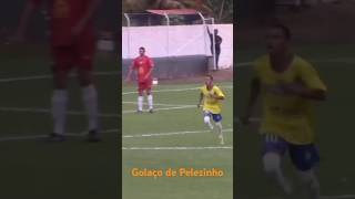 Golaço de Pelezinho [upl. by Gravante53]