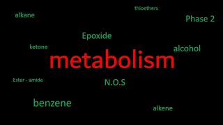 metabolism كل المجموعات الوظيفية [upl. by Ecirtnuahs885]