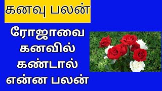 ரோஜாவை கனவில் கண்டால் என்ன பலன்Kanavu palangalkanavu [upl. by Eiramanitsirhc750]