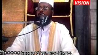 bangla waz video 20121mp4 [upl. by Lynnell]