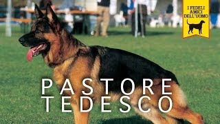 PASTORE TEDESCO Trailer Documentario [upl. by Elok521]