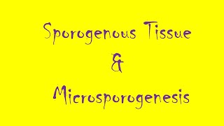 Sporogenous tissue l Microsporogenesis [upl. by Iru]