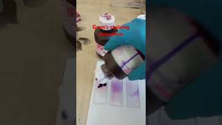 Gram staining procedure microbiology bacteria [upl. by Keifer510]