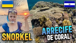 Ucraniana Haciendo Snorquel en Arecife de coral │Los Cobanos│Tour [upl. by Marney405]