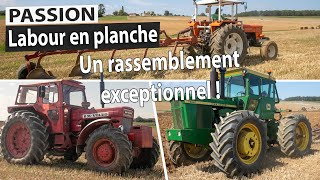 Exceptionnel  15 tracteurs labourent en planche [upl. by Verdie]