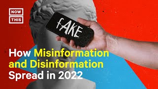 How to Fight Misinformation amp Disinformation [upl. by Suirtimed]