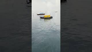 Viral Sampan Man Rove di Air Lautshorts indonesiakepulauan shortvideo shortsviral shortsfeed [upl. by Puglia]