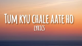 Tum kyu Chale Aate Ho Song Lyrics [upl. by Eal100]