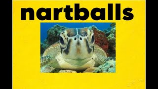 TURTLES  The nartballs Report [upl. by Sainana]