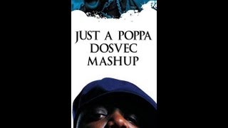 DOSVEC  Just A Poppa Notorious Big vs Biz Markie Mashup [upl. by Chaunce603]