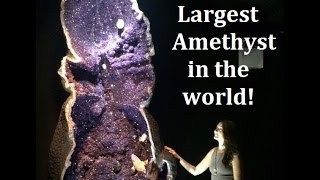 Largest Amethyst in the world [upl. by Pudens83]