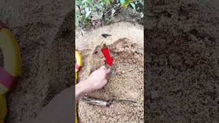 🔍 Metal Detector Finds Hidden Gem – Watch This Incredible Discovery [upl. by Arratoon]