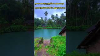 Tamil Christian status  Whatsapp Christian Status  Christian Tamil Videos  christianlyrics [upl. by Aciretehs]