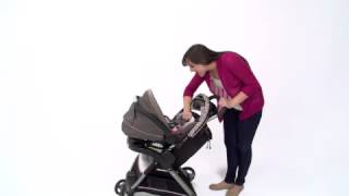 Find out how to use the Graco Click Connect Infant Car Seat [upl. by Esela]