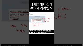 배재고에서 건국대 수의대 가려면 내신이 몇 등급 수능 입시 수시 내신 [upl. by Garek]