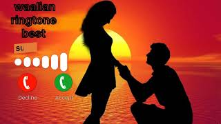 waalian Instrumental ringtone [upl. by Noleta674]