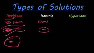 The difference between hypotonic isotonic and hypertonic solutions [upl. by Wester]