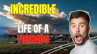 The Incredible Life of a Tornado  From Formation to Destruction  MR What [upl. by Anauqed]