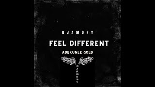 Reekado Banks Adekunle Gold Maleek Berry Feel Different DJ AMORY REMIX [upl. by Noyes]