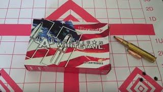 🔫Hornady American Whitetail 3006 150gr 100yd Accuracy Test🔫 [upl. by Kosse]