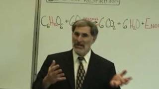 Professor Fink explains CELLULAR RESPIRATION Part 1 ATP NAD [upl. by Jobie]