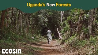 Uganda’s New Forests  Ecosia [upl. by Lirva]