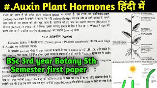 Auxin plant hormone in Hindi  BSc 3rd year Botany 5th semester first Paper  phytohormones [upl. by Airdnna]