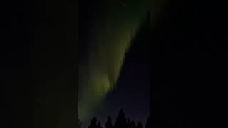 Northern Lights In Saariselkä [upl. by Reamy]