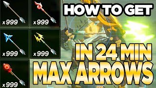 7 Ways to Get MAX ARROWS in Breath of the Wild  Austin John Plays [upl. by Akinuahs]