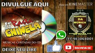 02 BEBER CAIR E LEVANTAR  RASTA CHINELA  CD ESPECIAL MÚSICAS EXCLUSIVAS [upl. by Sirronal]