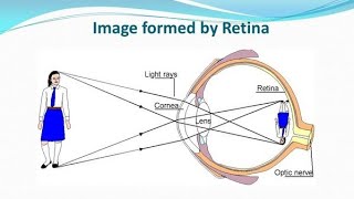 Physiology of VisionImage Formation محاضرة في فسلجة العين  عملية تكوين الصور [upl. by Idalia]