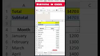 Subtotal in excel newexcel excel subtotal [upl. by Stew]