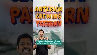 முன்பல் மூலமாகவே உணவை உண்டால் Anterior chewing pattern  Dentakings  DrKarthikeyan [upl. by Adaj829]