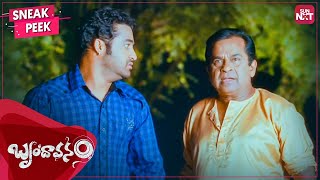 Brindavanam  Tamil Movie  NTRama Rao Jr Samantha Kajal Aggarwal Kota Srinivasa Rao [upl. by Anahsahs]