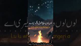 status qawwali sufism viralvideo [upl. by Enrobyalc]