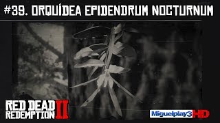 Localización múltiple Orquídea Epidendrum Nocturnum  39Compendio Plantas  Red dead redemption 2 [upl. by Catha]