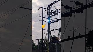 Transformer HG ଫ୍ୟୁଜ ପୋଡ଼ି ଯାଇଛି ଦେଖନ୍ତୁ ଏହି Videoshortsfeed chagalaelectrical news tatapower [upl. by Lipman630]