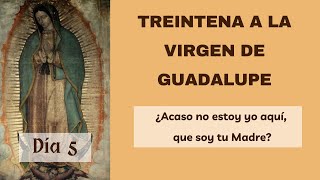 Treintena a la Virgen de Guadalupe 🌹 Día 5 ¡Haz tu petición [upl. by Htrahddis]