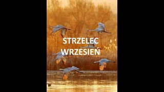 TAROT  STRZELEC  WRZESIEŃ 2024 [upl. by Sailesh]