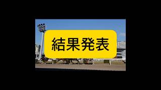 地方競馬重賞以外も推奨馬挙げた結果！！馬券内率80％オーバー [upl. by Anitsua]