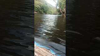 Kuttavanchi safari coracle boat ecotourismecotourismkerala [upl. by Hudnut]